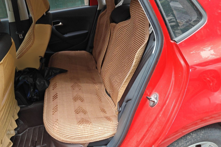 Volkswagen Polo 2016 car image #19