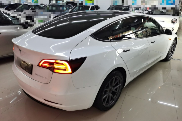 Tesla Model 3 2021 car image #7