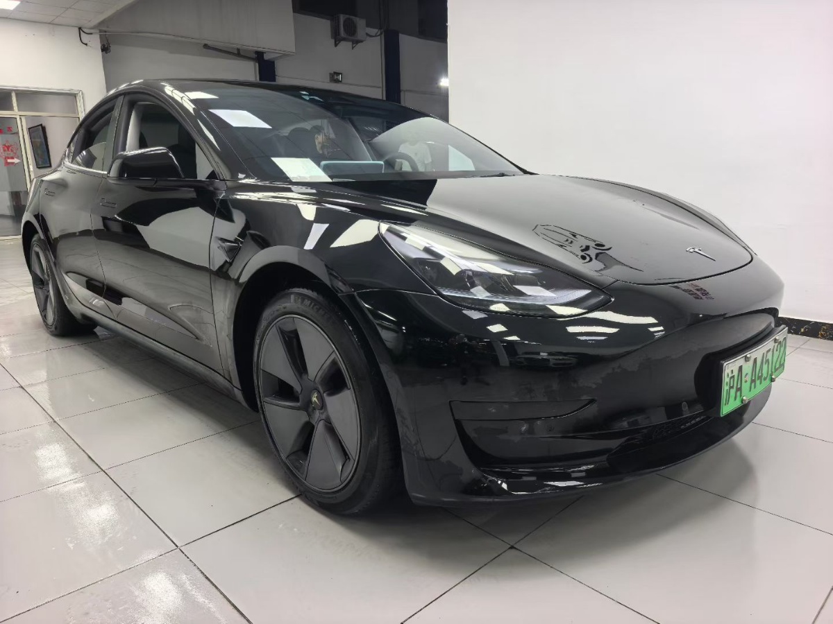 Tesla Model 3 2023 #3 Tesla Model 3 2023 car image #3