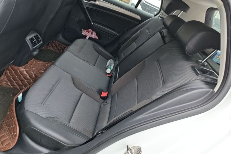 Volkswagen Golf 2019 car image #17