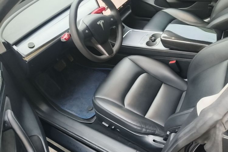 Tesla Model 3 2021 car image #19