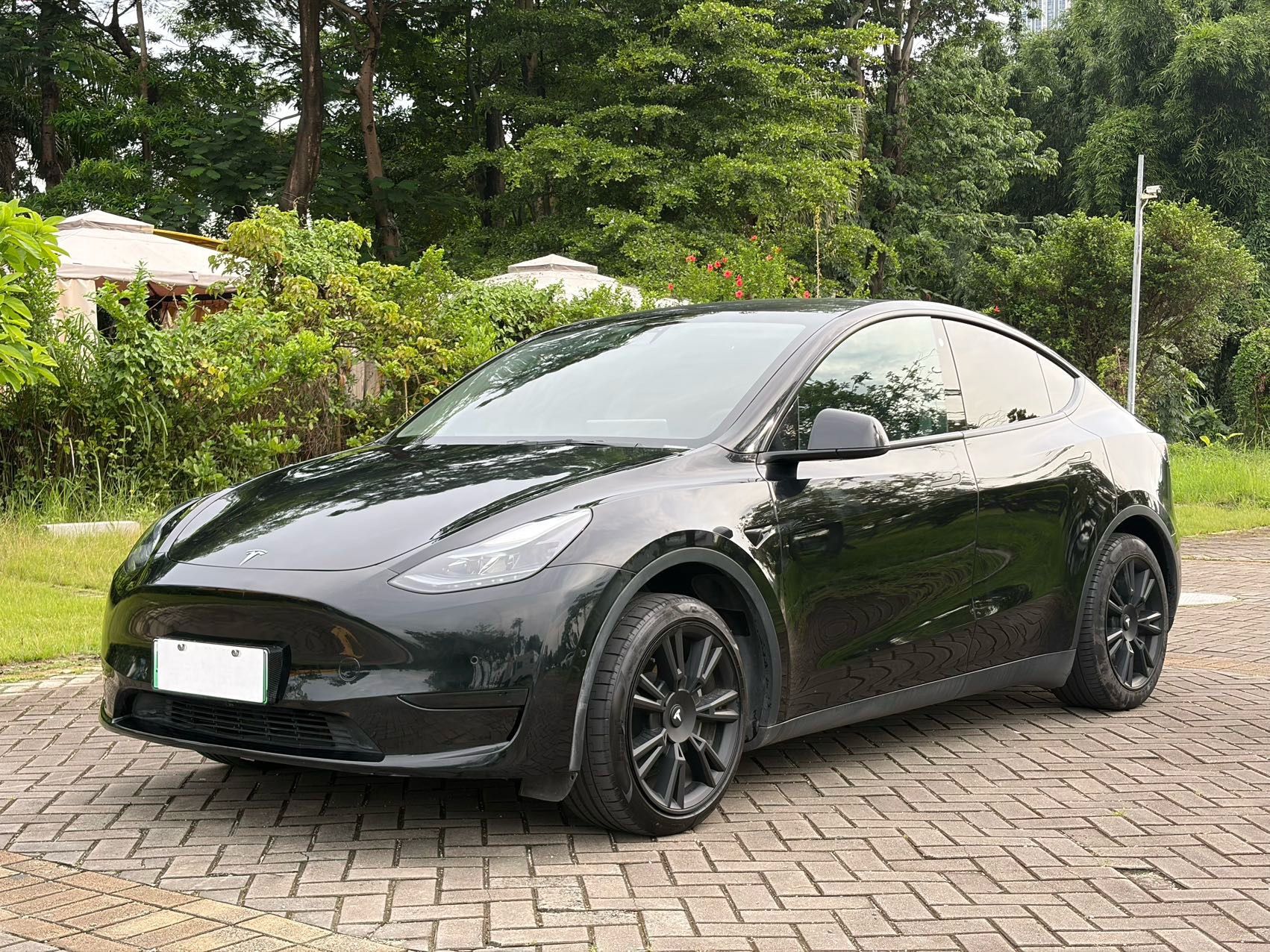 Tesla Model Y 2022 Tesla Model Y 2022 car image