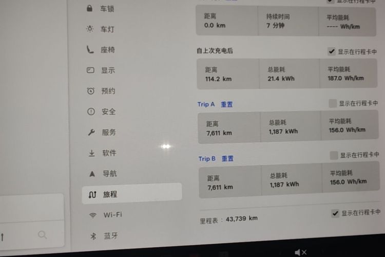 Tesla Model 3 2020 car image #12