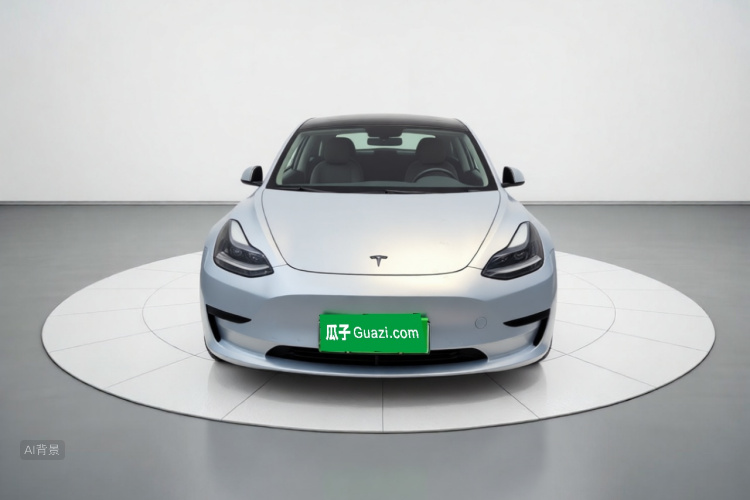 Tesla Model 3 2021 #3 Tesla Model 3 2021 car image #3