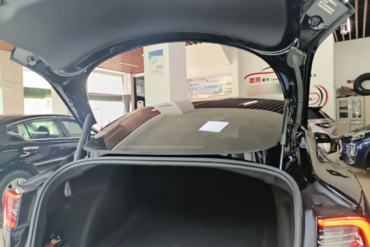 Tesla Model 3 2021 #19 Tesla Model 3 2021 car image #19