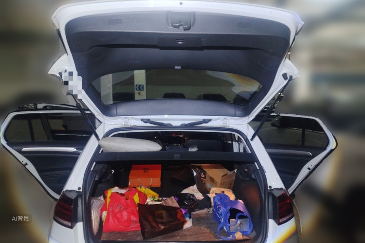 Volkswagen Golf 2020 car image #21