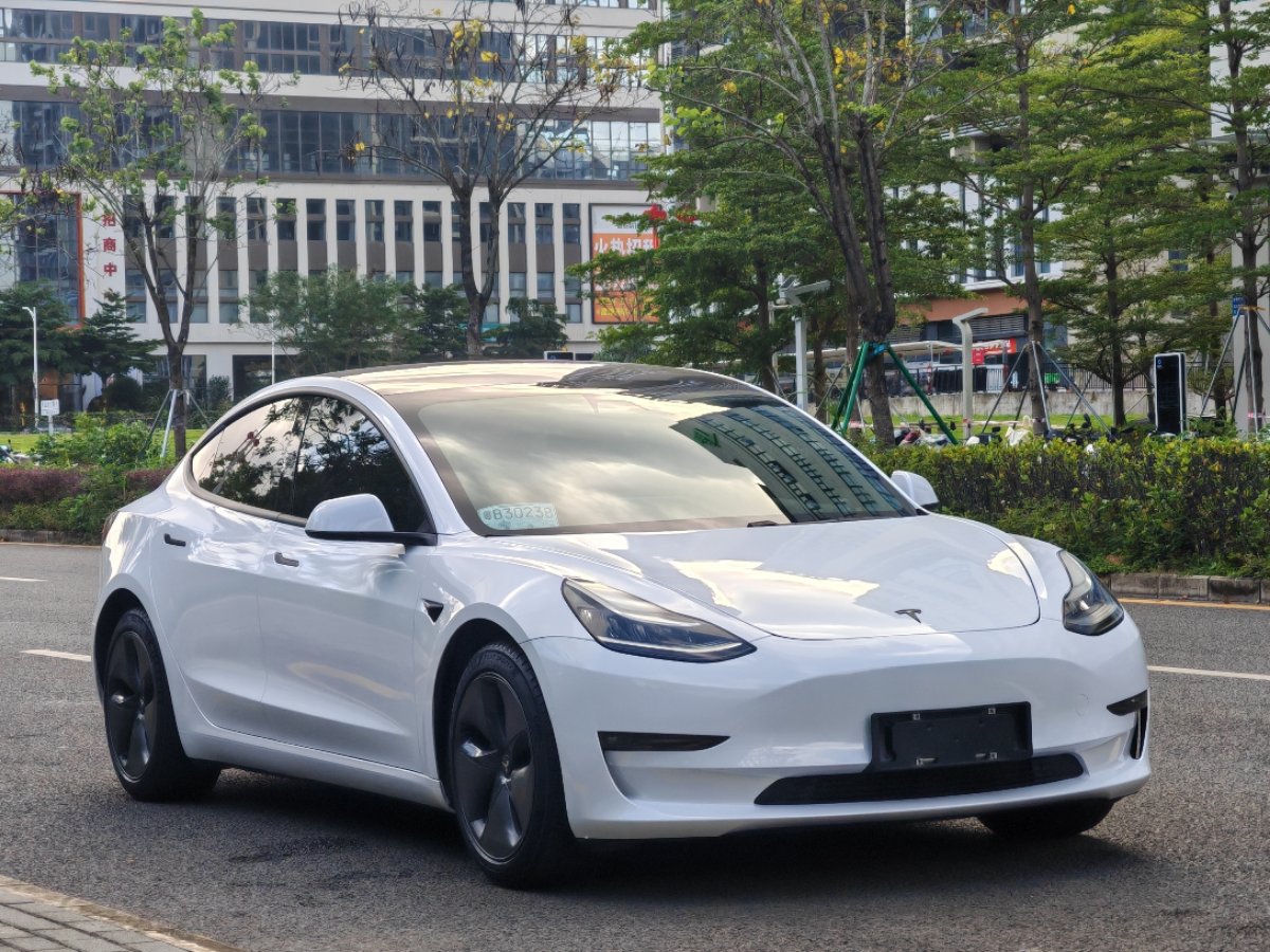 Tesla Model 3 2020 #3 Tesla Model 3 2020 car image #3