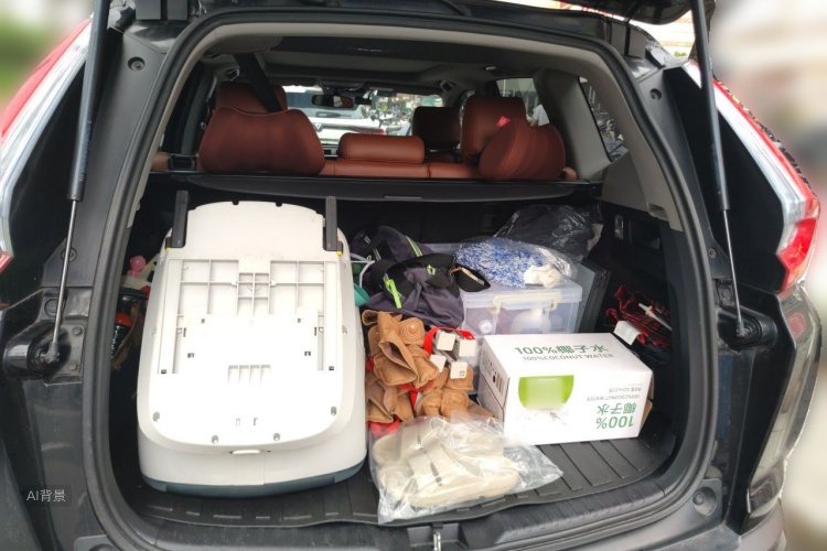 Honda CR-V 2019 car image #21