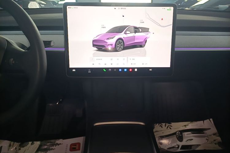 Tesla Model Y 2024 car image #13