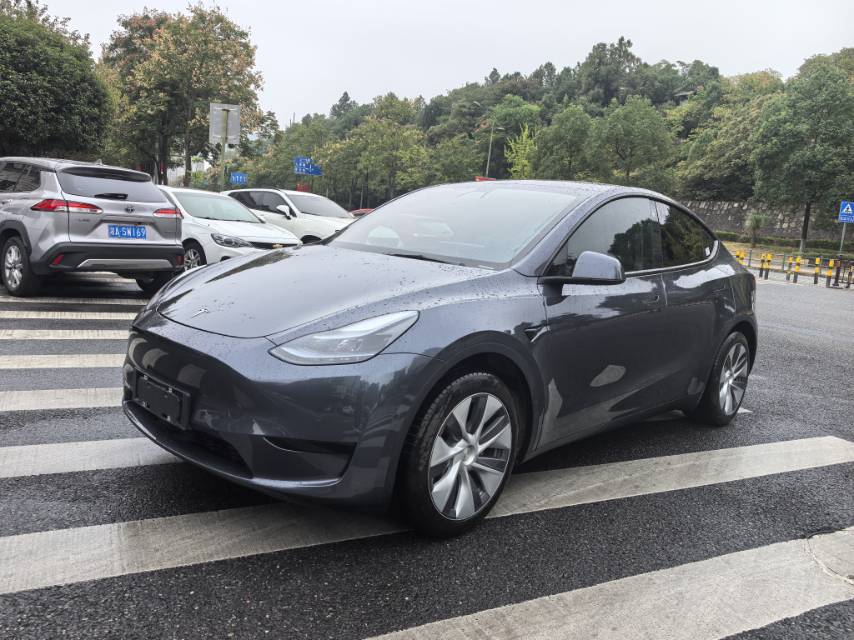 Tesla Model Y 2022 Tesla Model Y 2022 car image