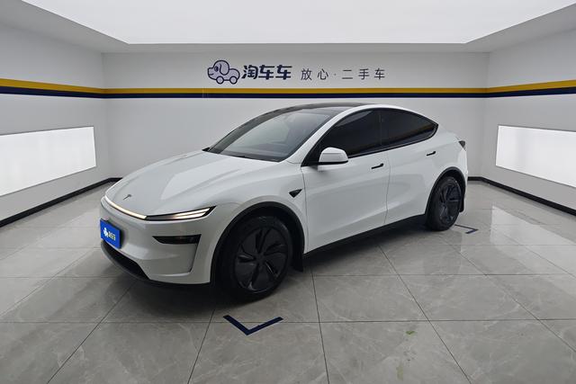 Tesla Model Y 2025 car image #18