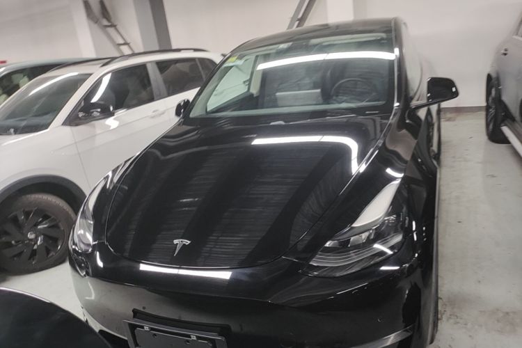 Tesla Model Y 2021 #3 Tesla Model Y 2021 car image #3