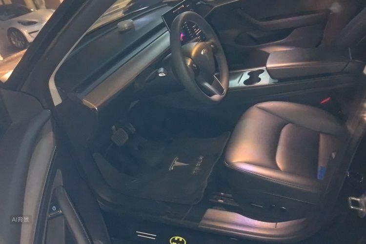 Tesla Model 3 2021 imagem de carro #17