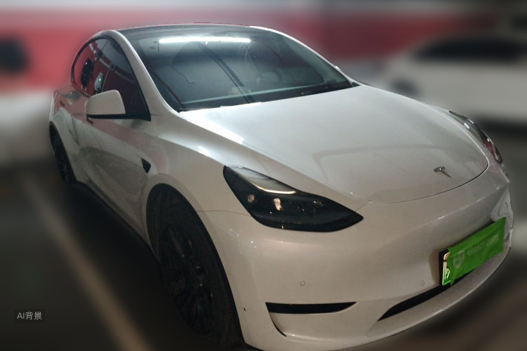 Tesla Model Y 2022 #4 Tesla Model Y 2022 car image #4