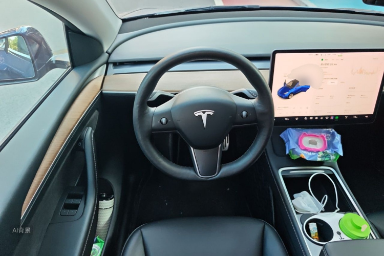 Tesla Model Y 2021 car image #12