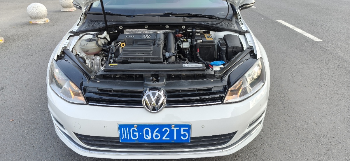 Volkswagen Golf 2018 #2 Volkswagen Golf 2018 imagem de carro #2