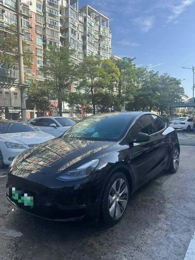 Tesla Model Y 2021 car image 