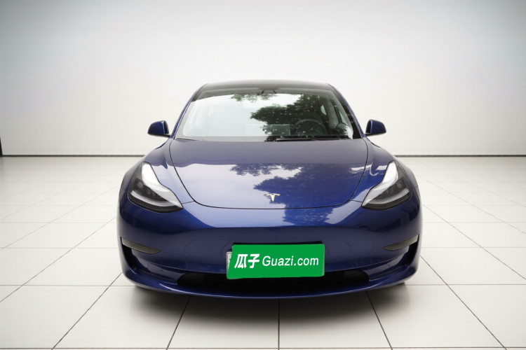 Tesla Model 3 2021 #3 Tesla Model 3 2021 car image #3