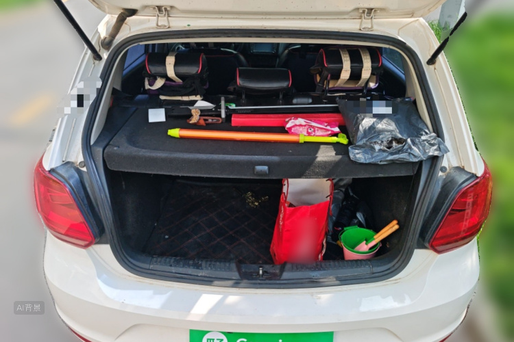 Volkswagen Polo 2016 car image #21