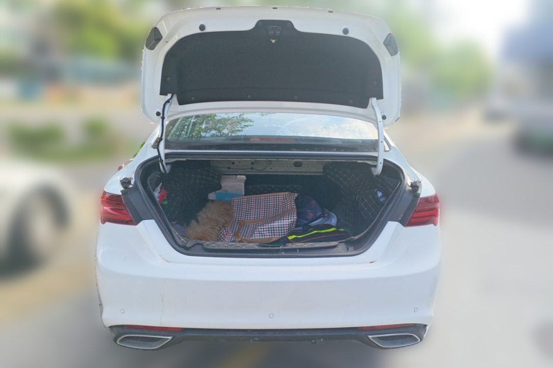 GEELY Binray 2021 صورة سيارة #8