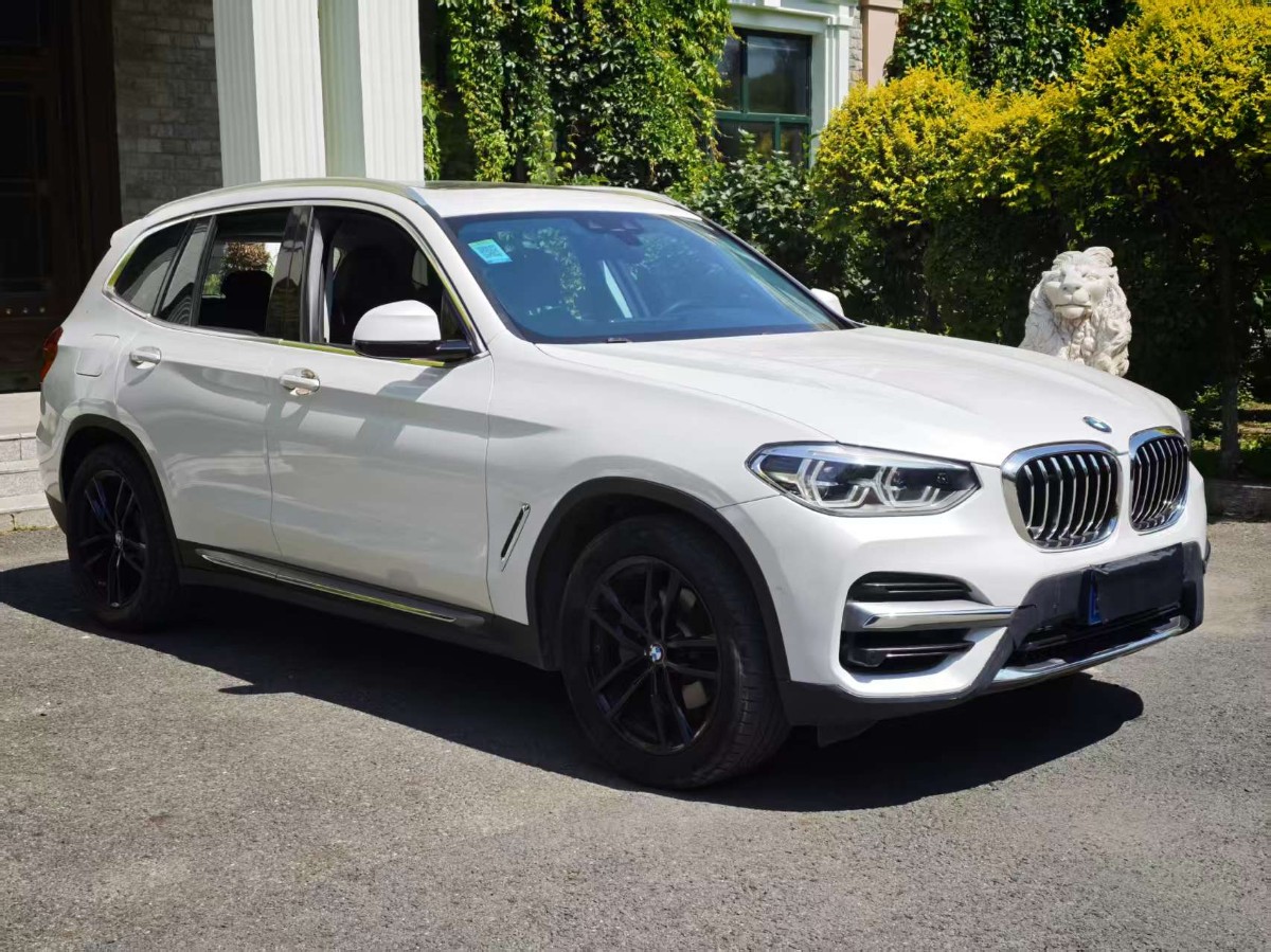 BMW X3 2019 car image 