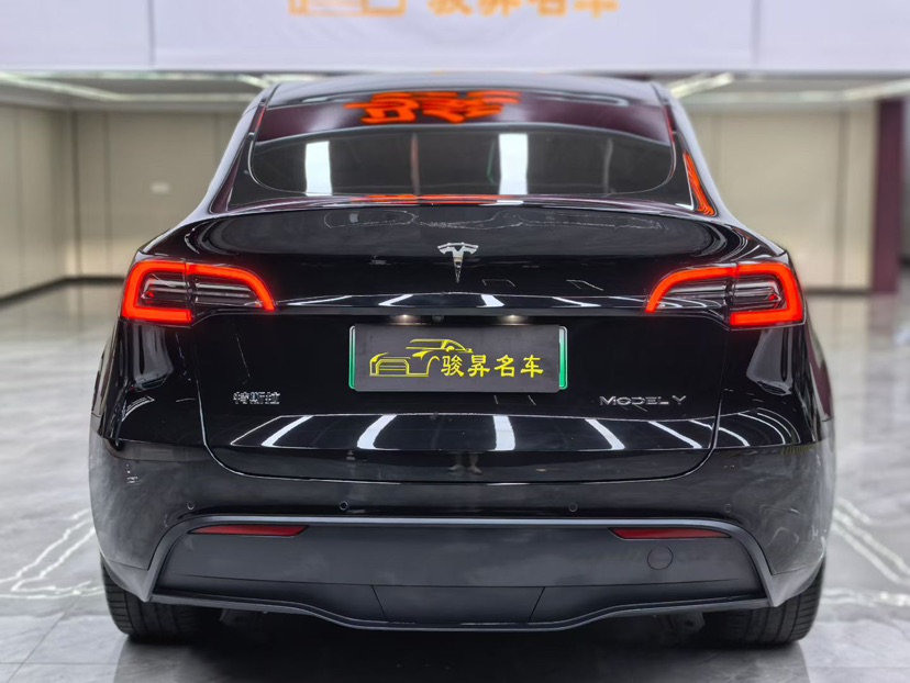 Tesla Model Y 2021 car image #3