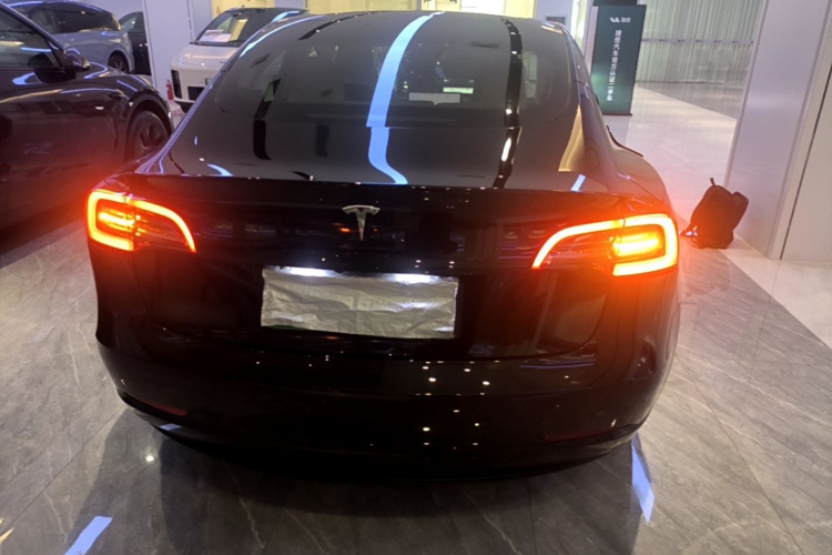 Tesla Model 3 2022 car image #6