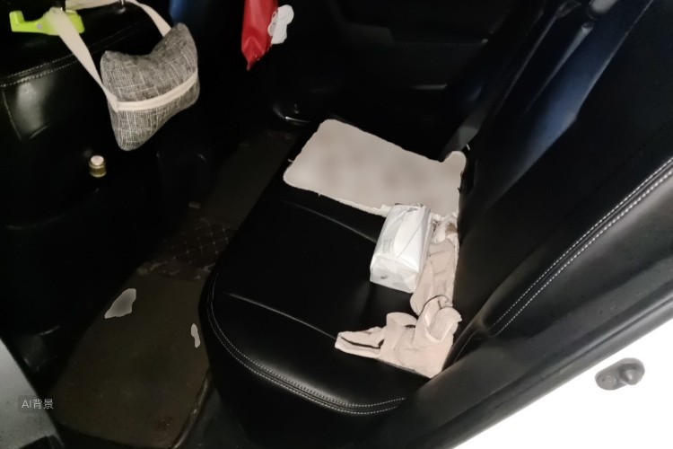 Toyota Corolla 2017 car image #19