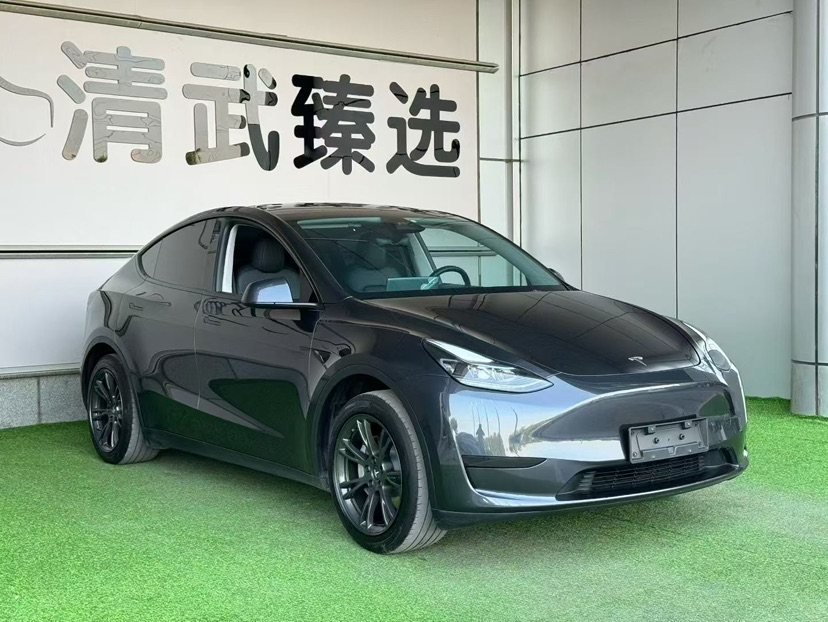 Tesla Model Y 2024 Tesla Model Y 2024 car image