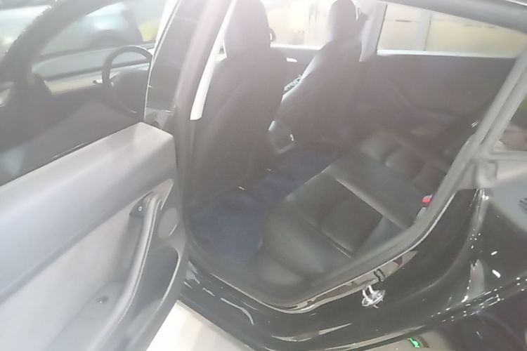 Tesla Model 3 2021 car image #17