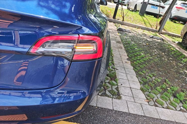 Tesla Model 3 2021 #8 Tesla Model 3 2021 car image #8