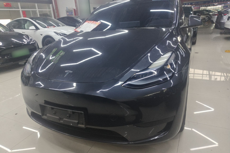 Tesla Model Y 2024 car image #3