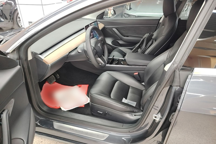 Tesla Model 3 2020 car image #15