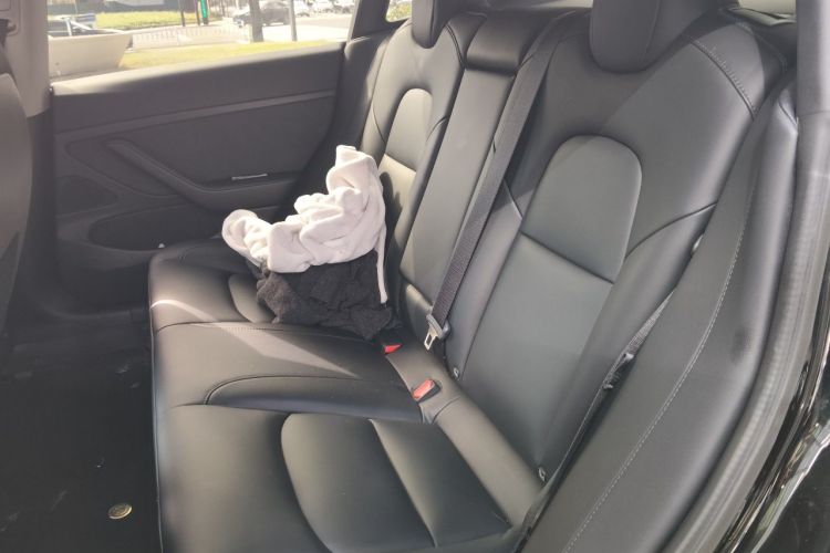 Tesla Model 3 2020 car image #10