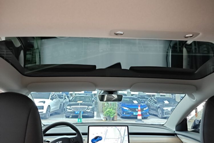 Tesla Model 3 2021 car image #18