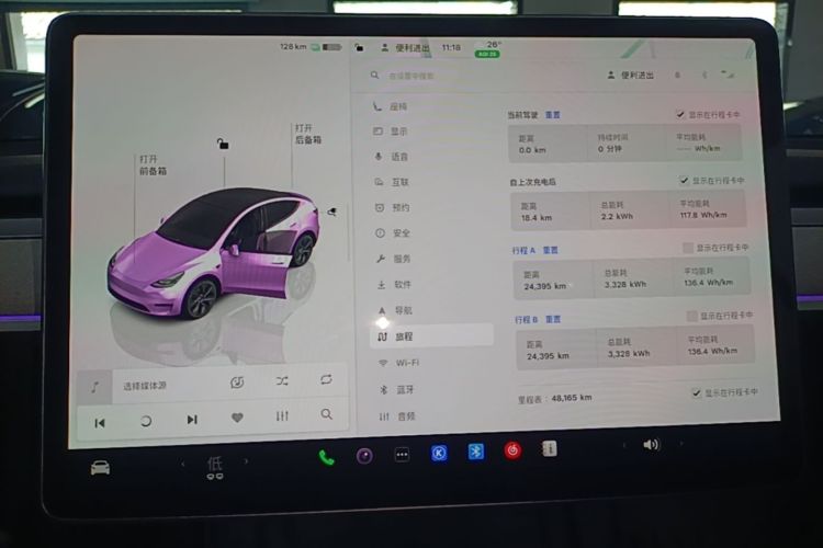 Tesla Model Y 2024 car image #12
