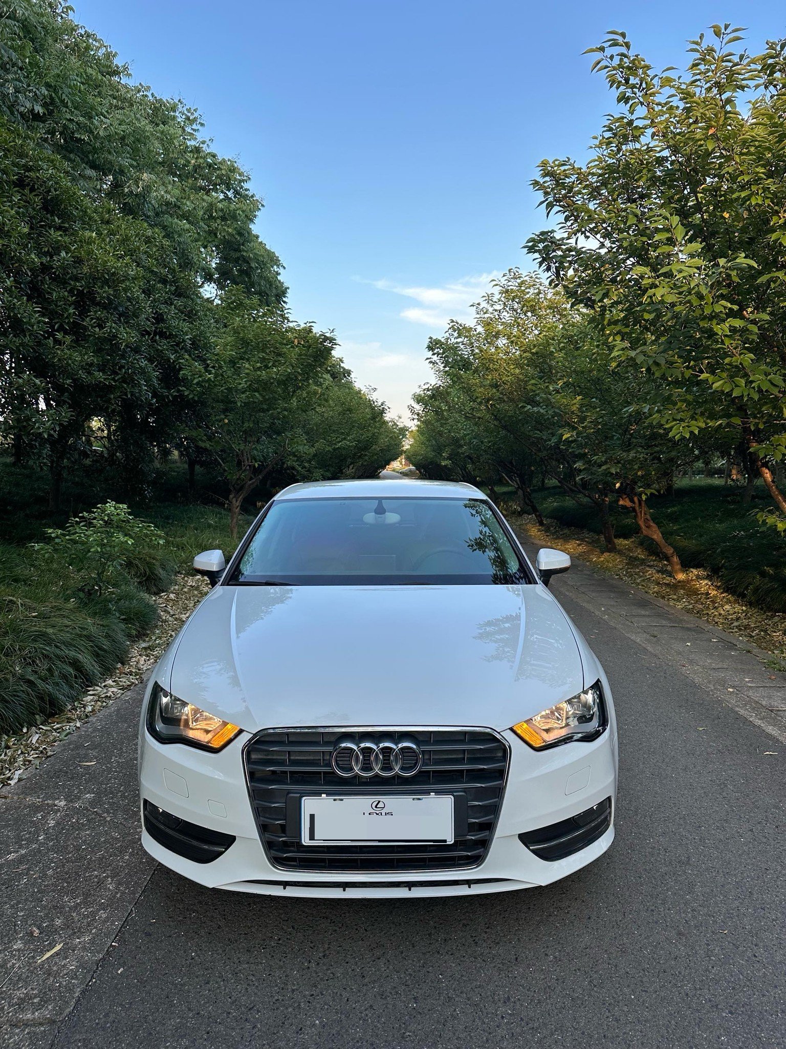 Audi A3 2015 car image #7