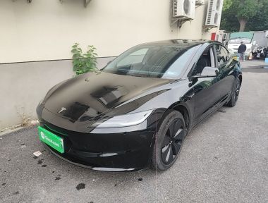 Tesla Model 3 2024 car image 
