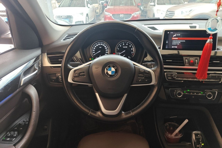 BMW X1 2019 car image #12