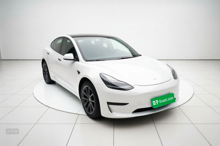 Tesla Model 3 2023 #4 Tesla Model 3 2023 car image #4