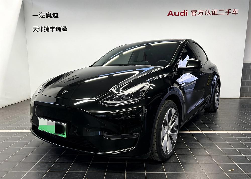 Tesla Model Y 2021 Tesla Model Y 2021 car image