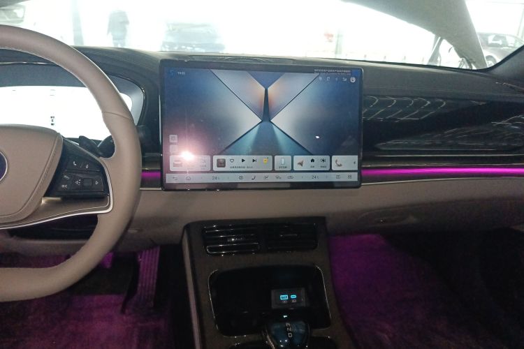 BYD Han 2024 imagen de coche #13