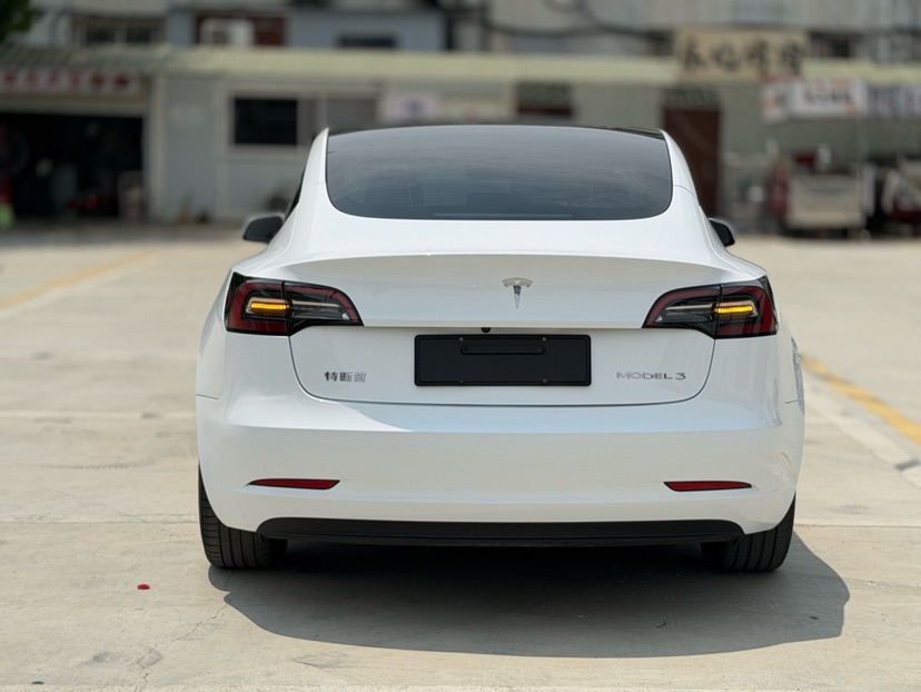 Tesla Model 3 2023 car image #5