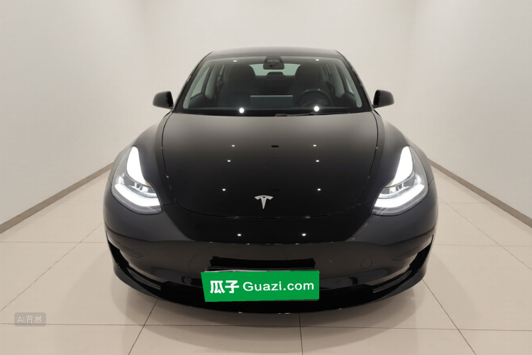 Tesla Model 3 2022 #3 Tesla Model 3 2022 car image #3