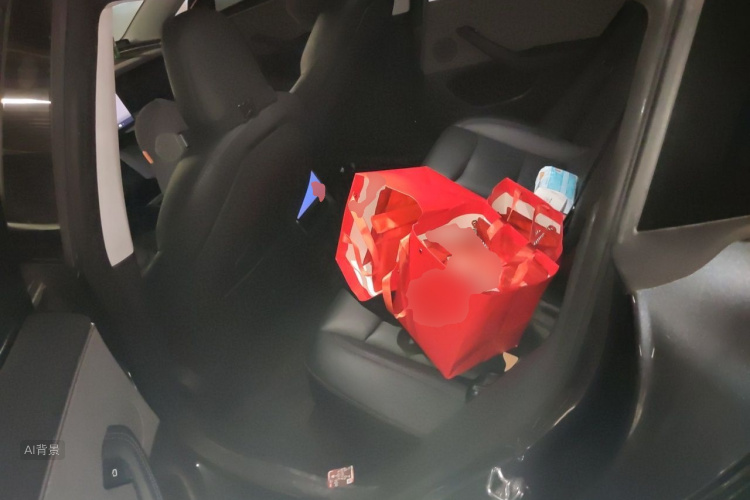 Tesla Model 3 2024 car image #19