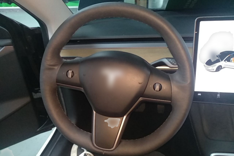 Tesla Model 3 2021 car image #11