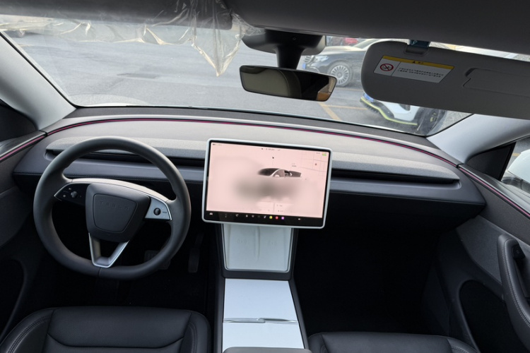 Tesla Model Y 2025 immagine di auto #11