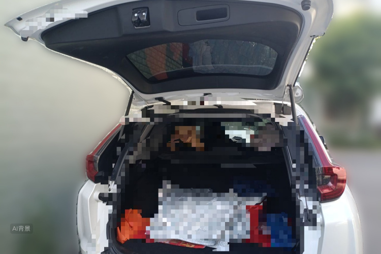 Honda CR-V 2022 imagem de carro #21