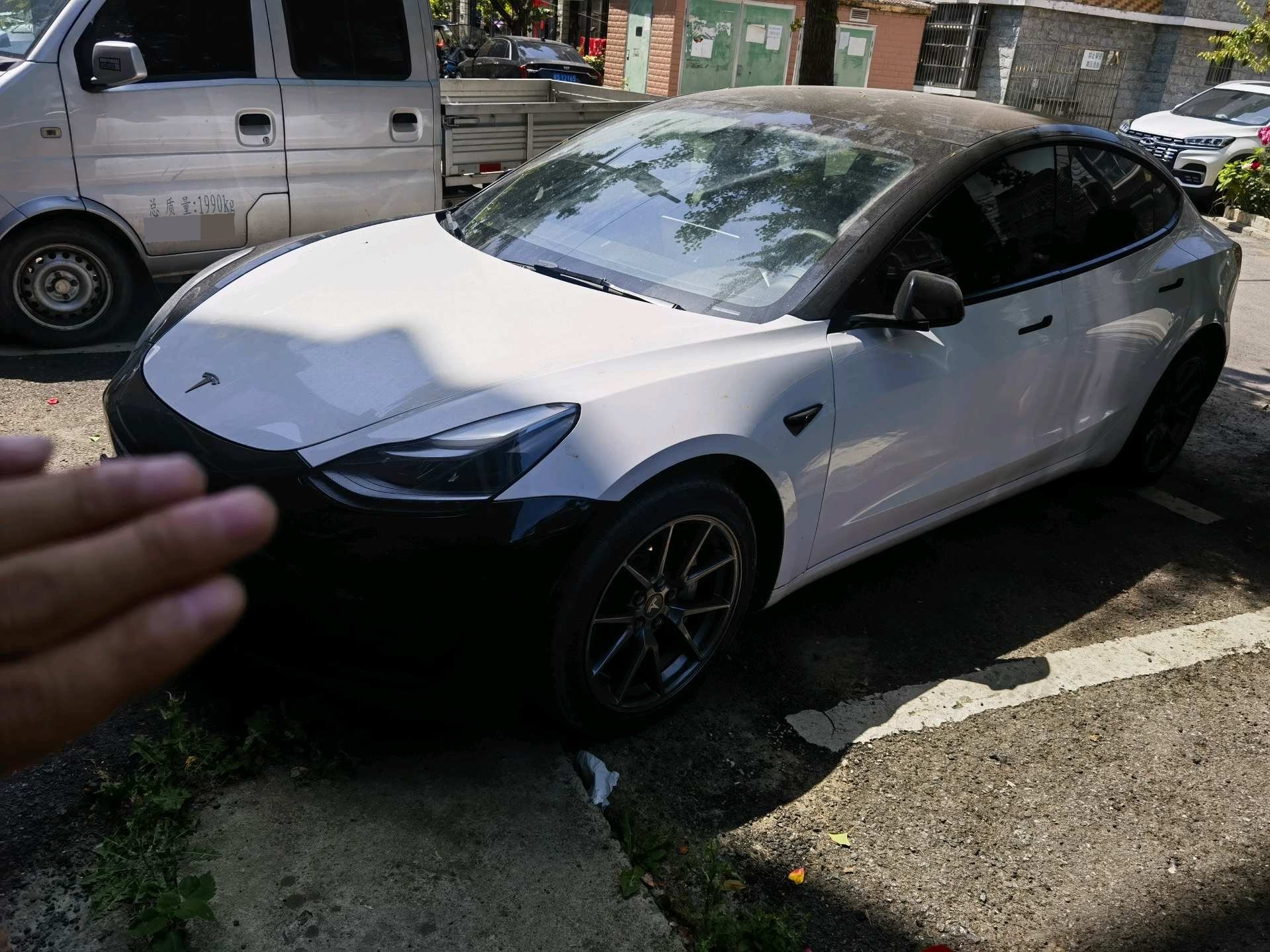 Tesla Model 3 2023 Tesla Model 3 2023 car image