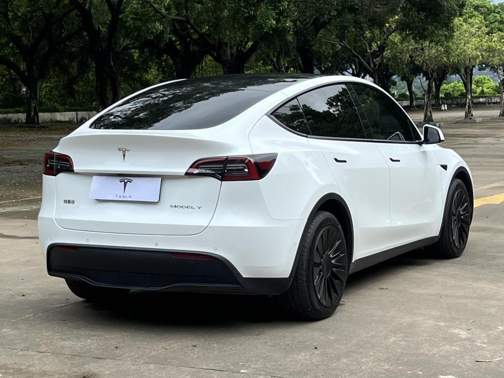 Tesla Model Y 2023 car image #6
